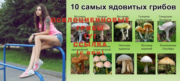 дурь Арсеньев