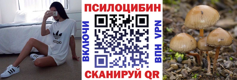 где найти наркотики  МЕГА ссылка  shop клад  Байкальск  Галлюциногенные грибы MAGIC MUSHROOMS 